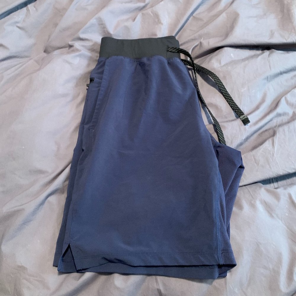 Fabletics Mens Shorts